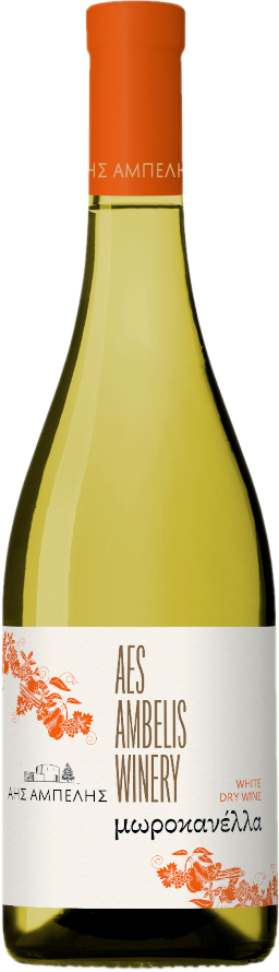 Vin blanc de l'année